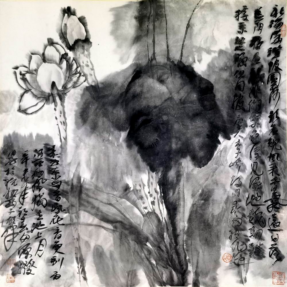 a田源-3（69-69镜.jpg