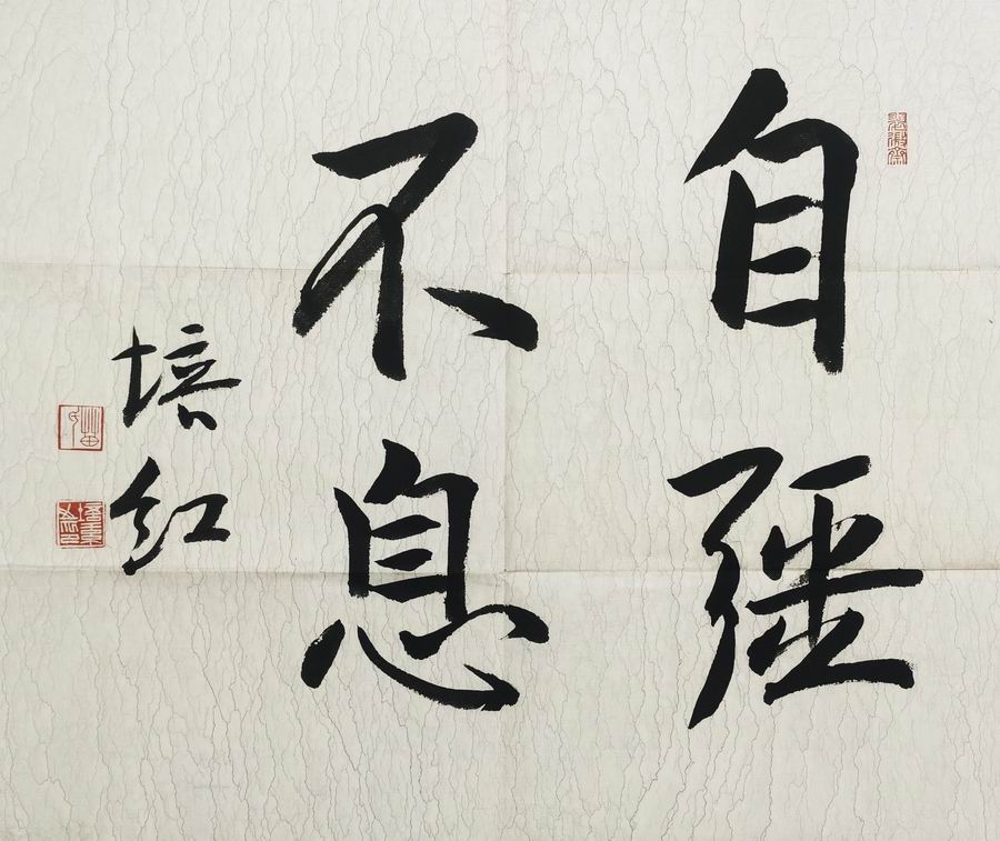 a苗培红-4-8（50-58片.jpg