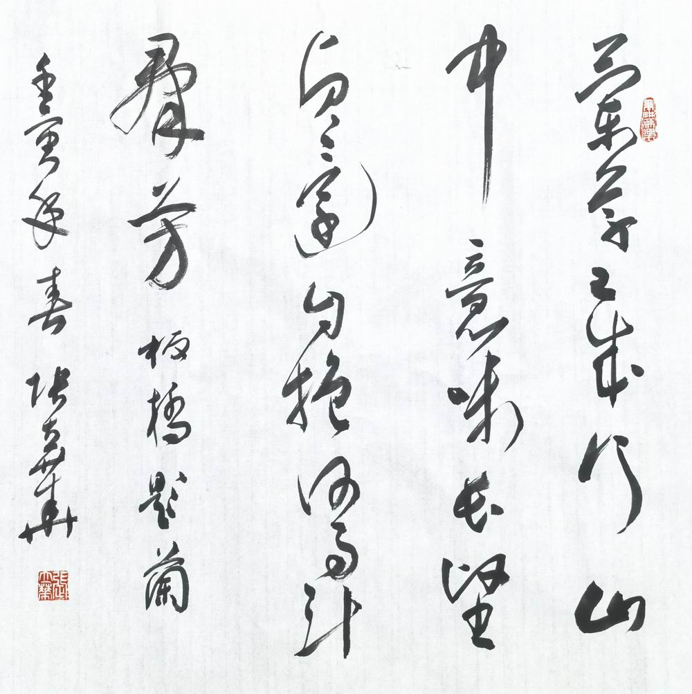 张立华-4（68-68片（兰草.jpg