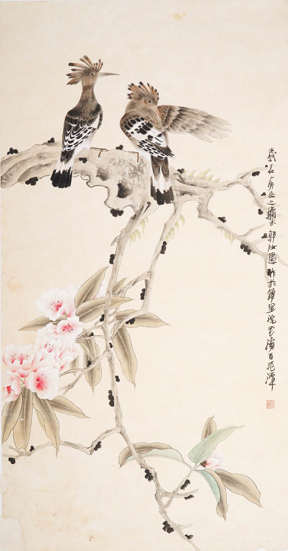 郭汝愚-3-8（100x52镜.jpg