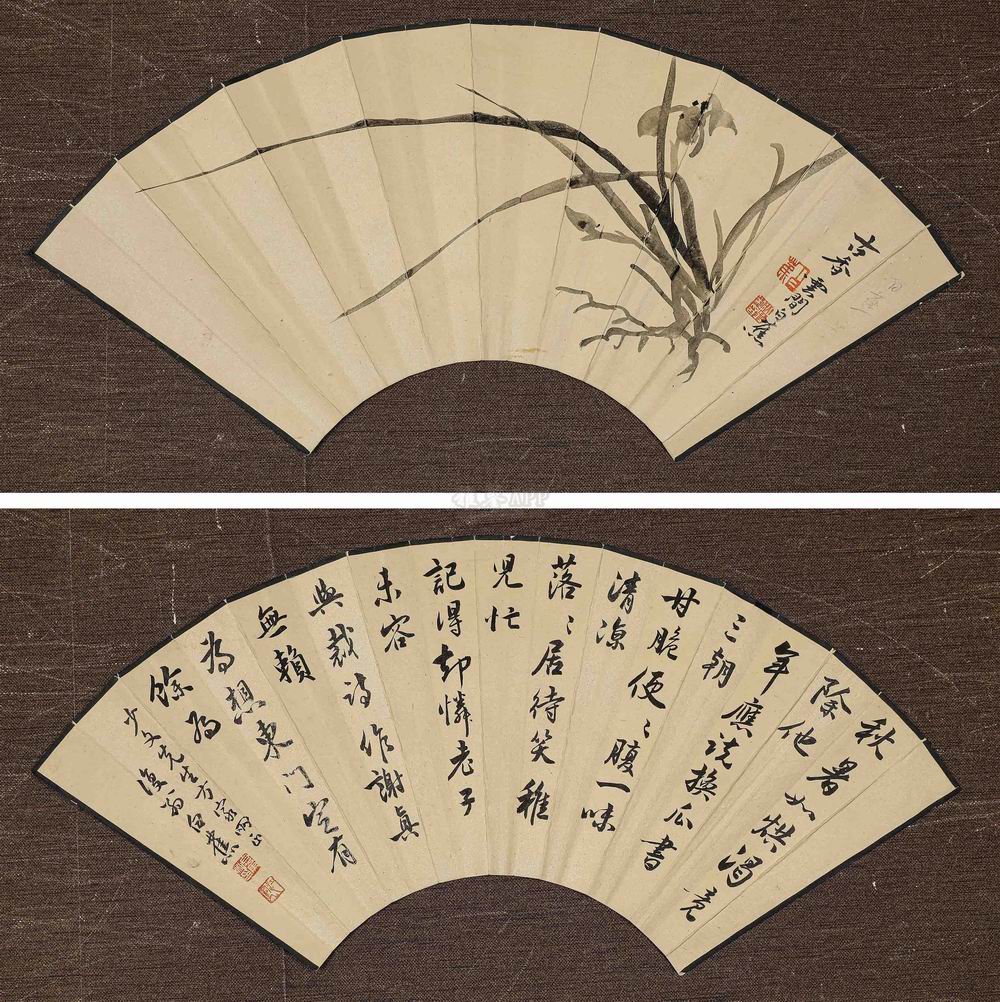 白蕉兰花-1-8（18x550镜.jpg