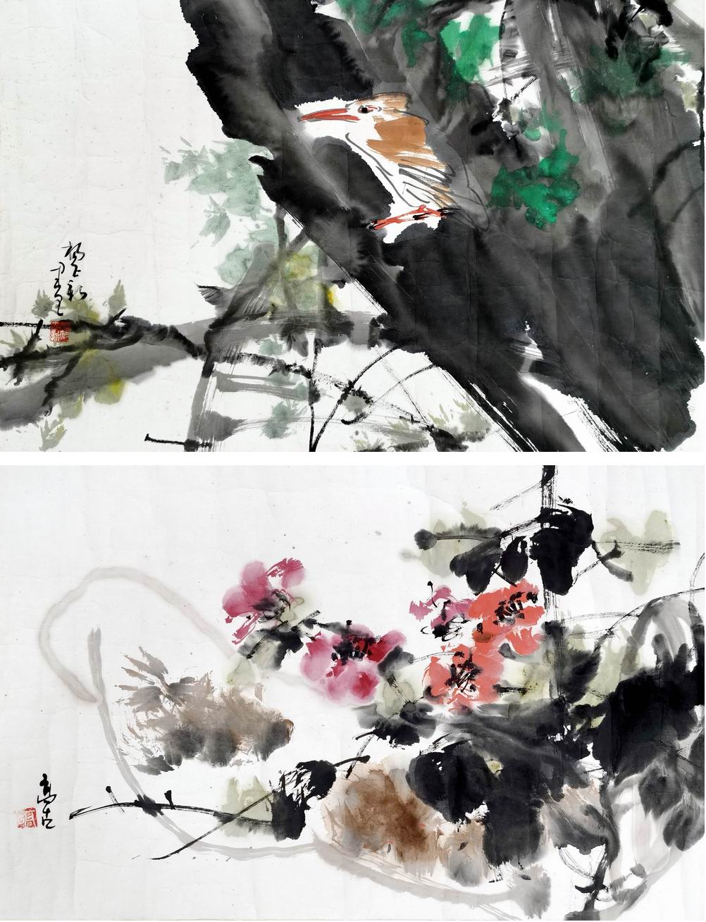 a杨正新-1-8（43-66镜.jpg