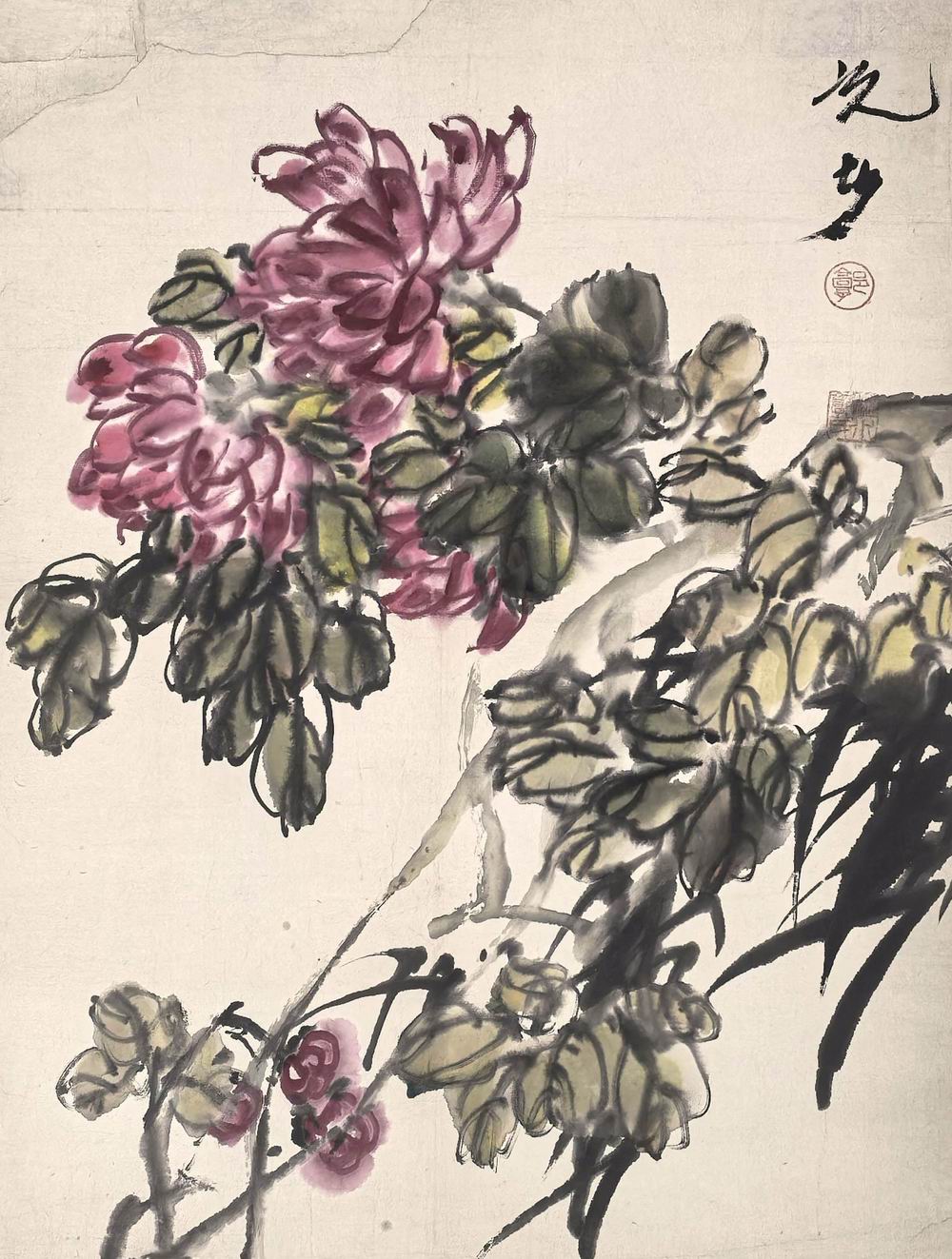 郭志光-34-8（60x45镜菊花.jpg